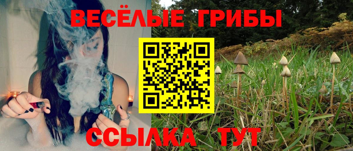 Галлюциногенные грибы MAGIC MUSHROOMS Саранск