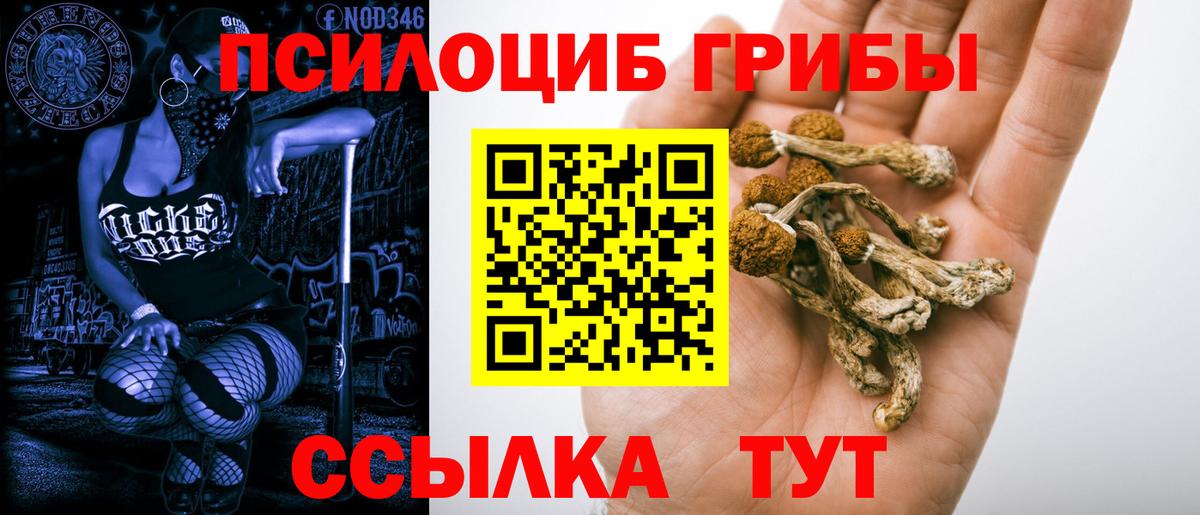 Галлюциногенные грибы Magic Shrooms  Галлюциногенные грибы Magic Shrooms  Вход с VPN  Саранск 
